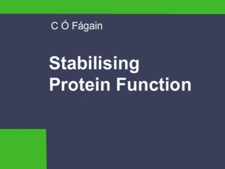 Stabilising Protein Function