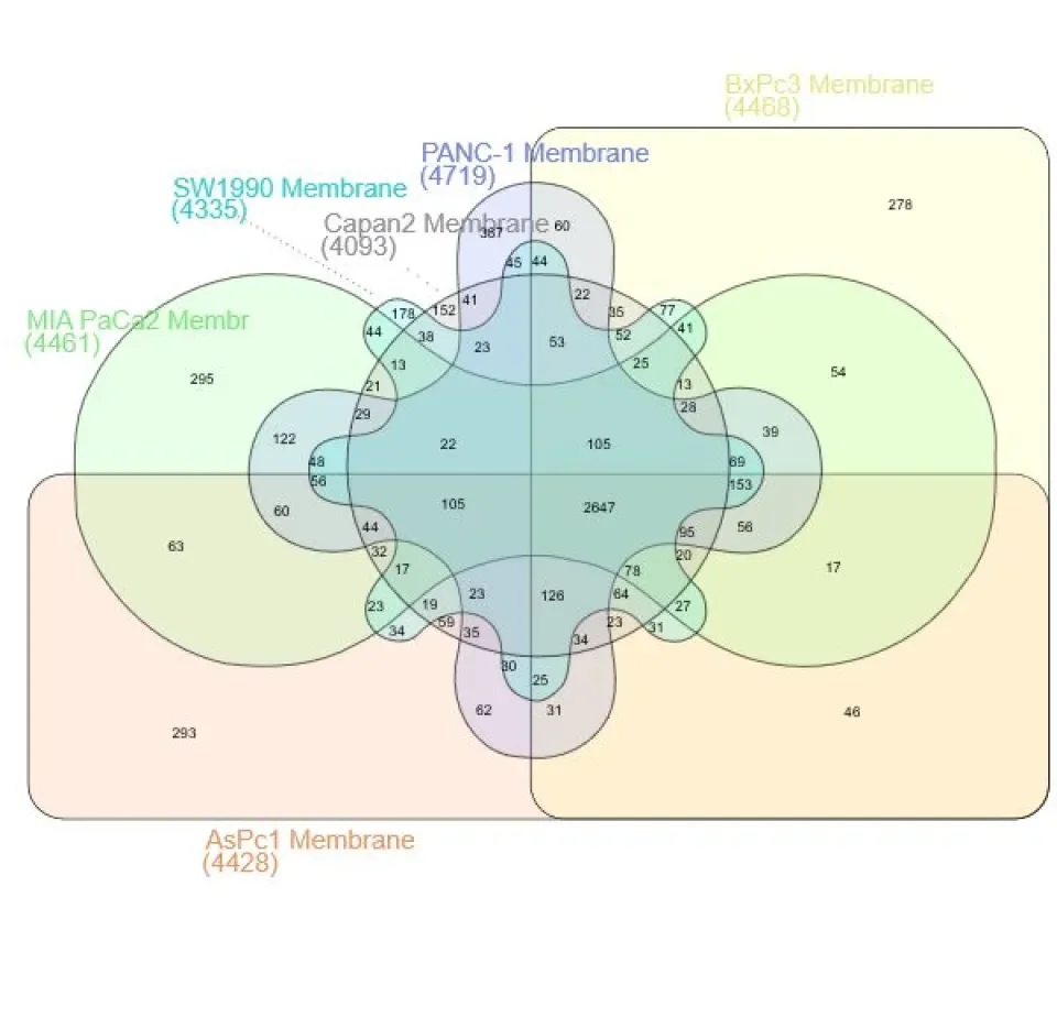 Pancreatic Cancer Proteomics