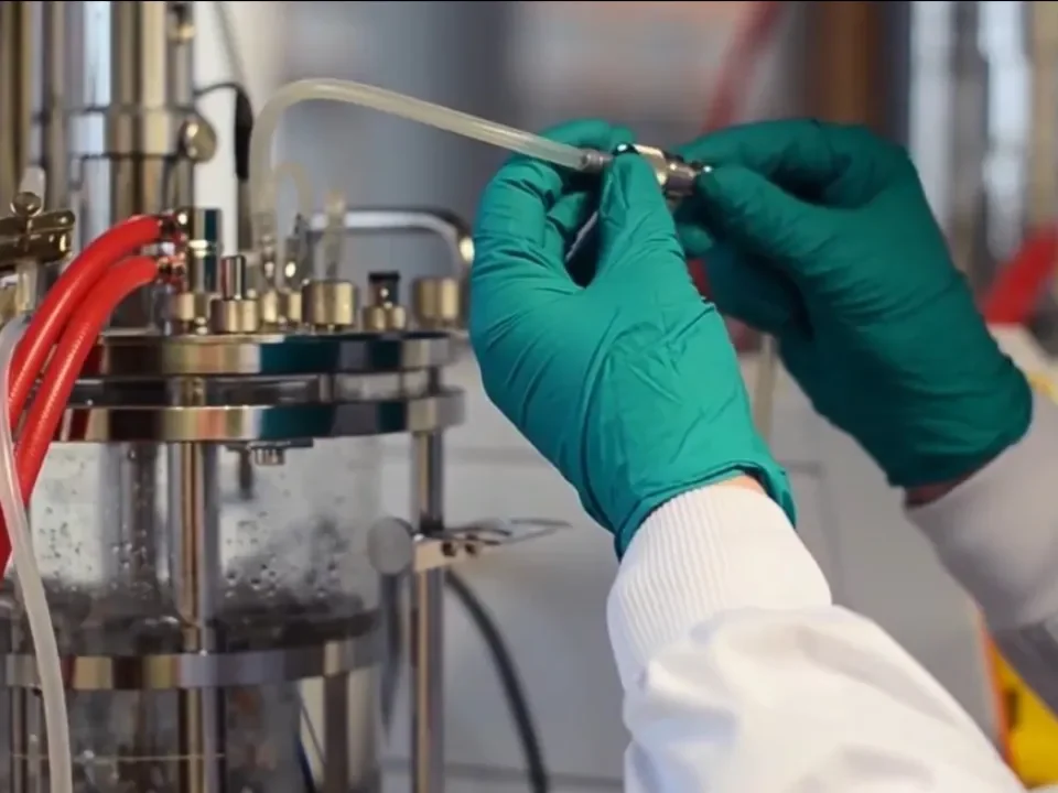 Bioprocessing
