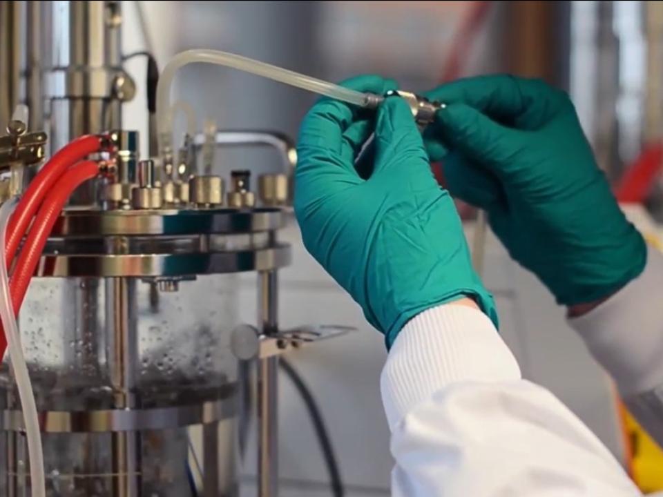Bioprocessing