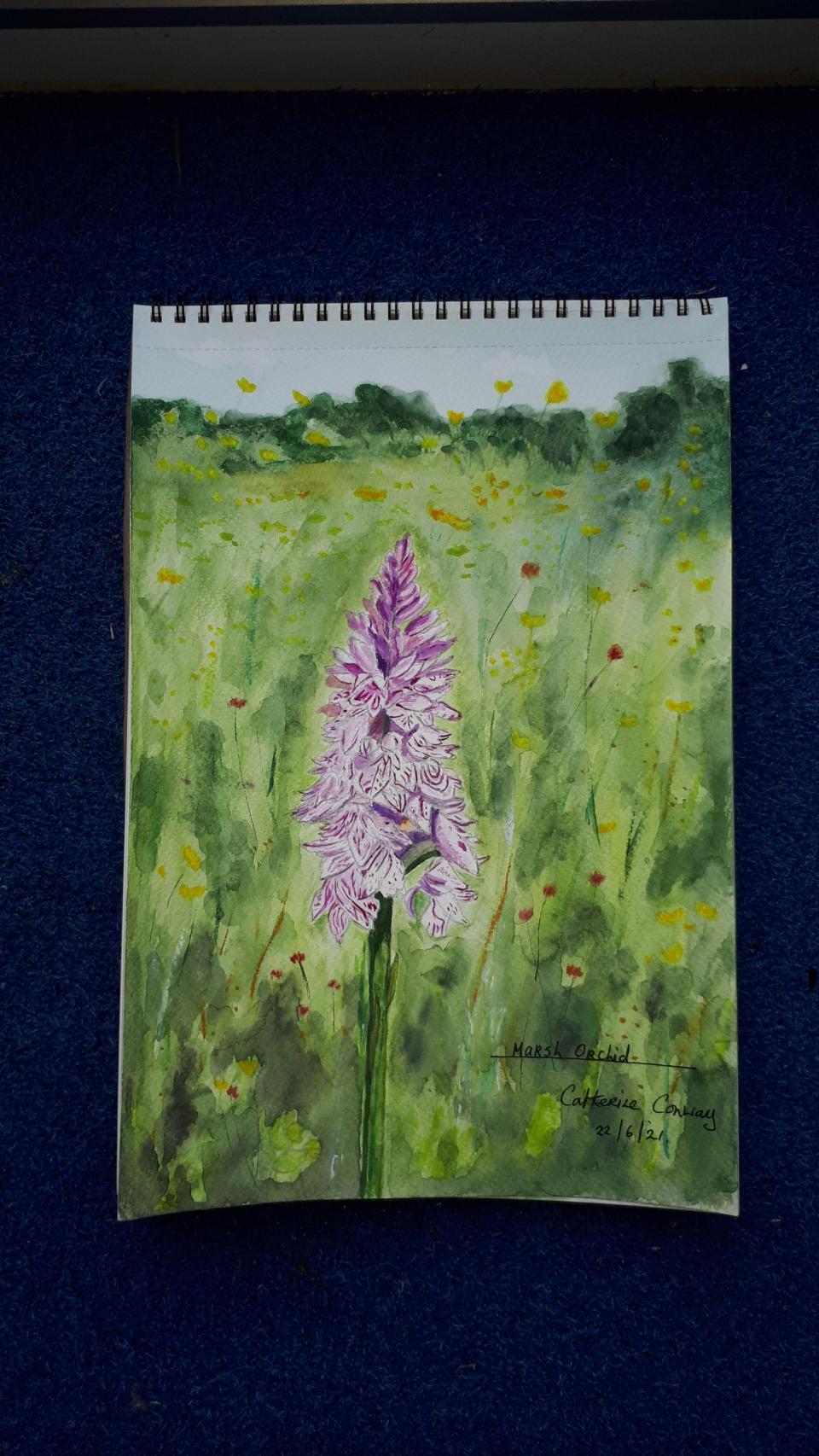 Marsh Orchid painting