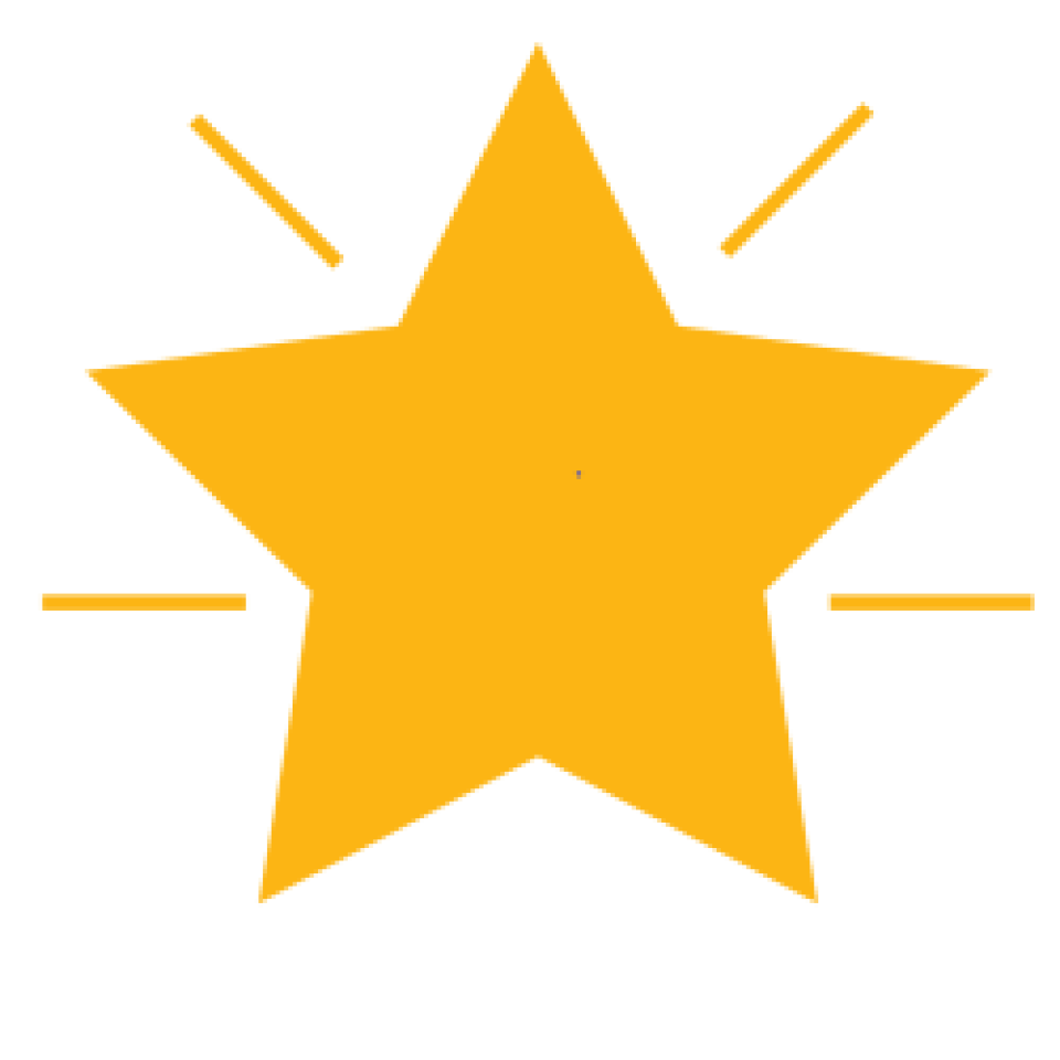 Pathways to Success Programme