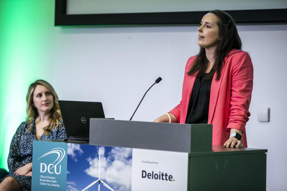 Corporate sustainability consultant
