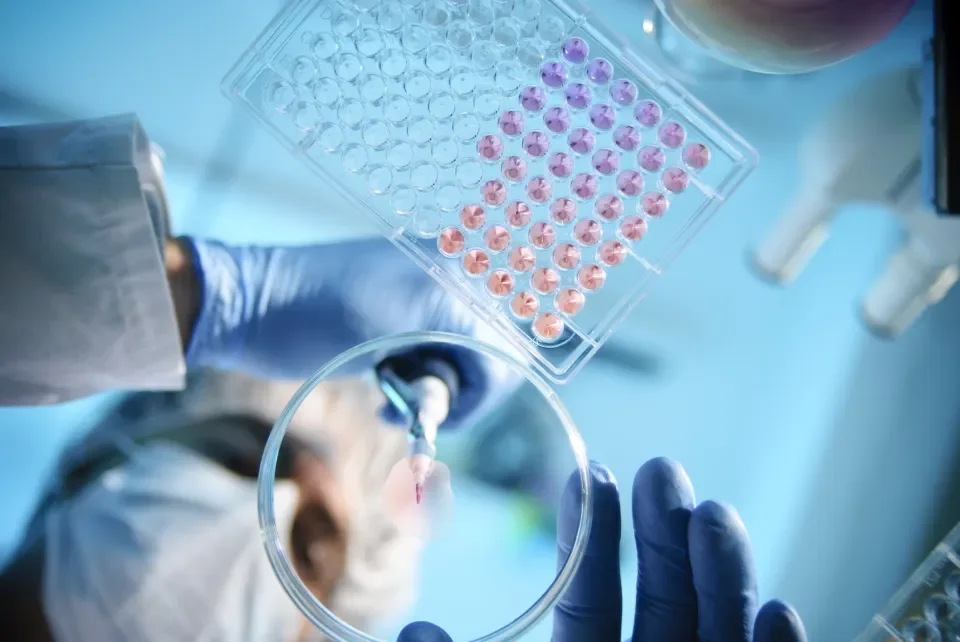 Chemical and Pharmaceutical Sciences