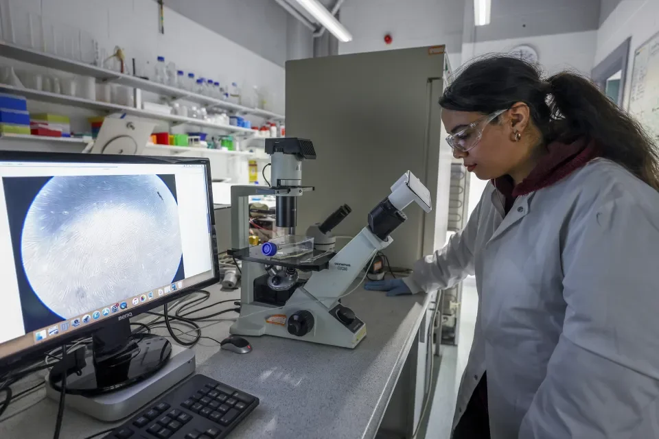 Genetics and Cell Biology