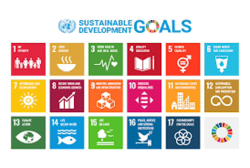 SDGs