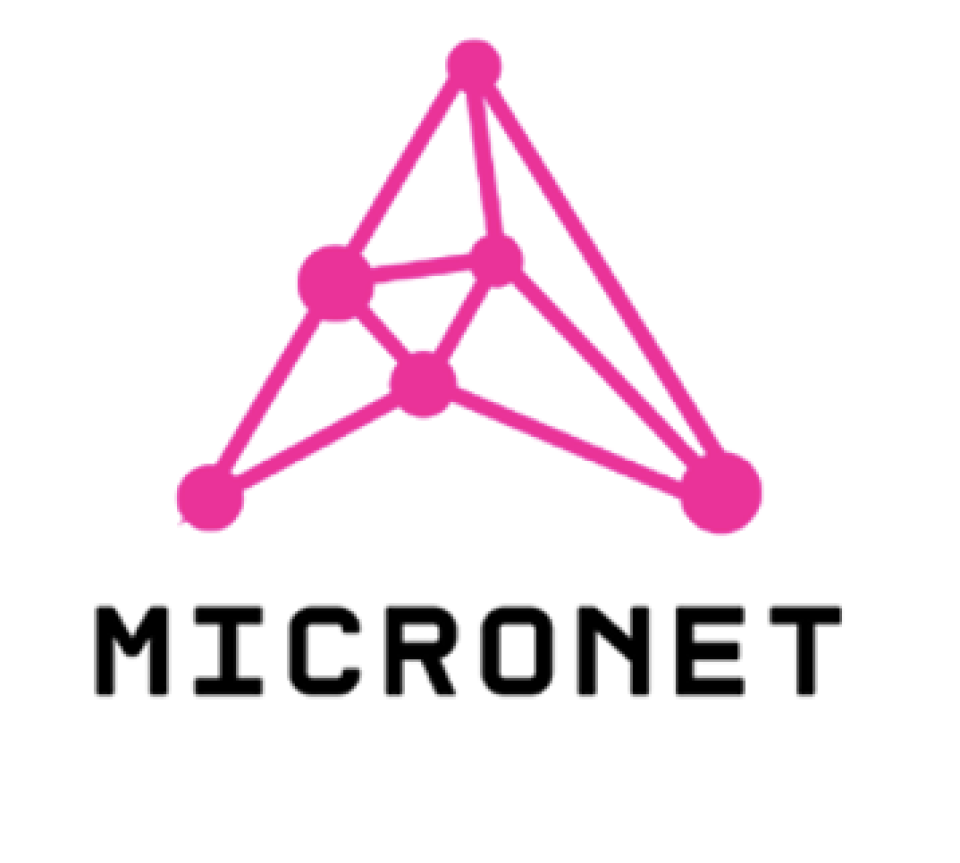 MicroNet Logo