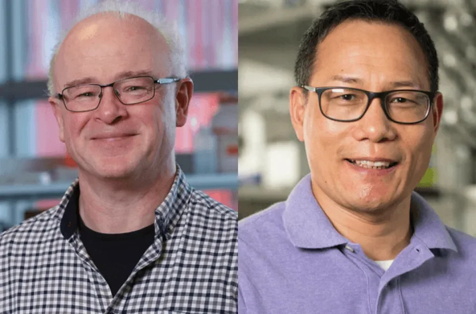 Darren Fayne, left, and Choon Kim, right.