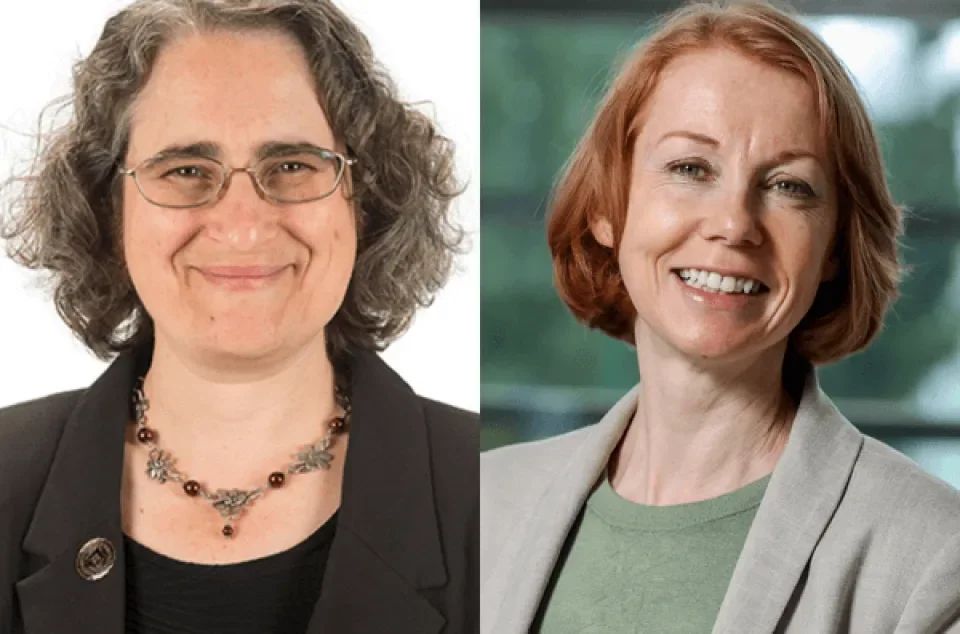 Marya Lieberman, left, and Anne Parle-McDermott, right.