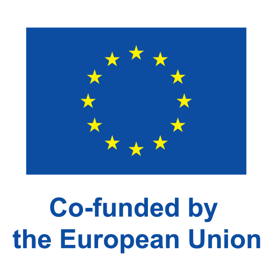 Co-funded by the European Union