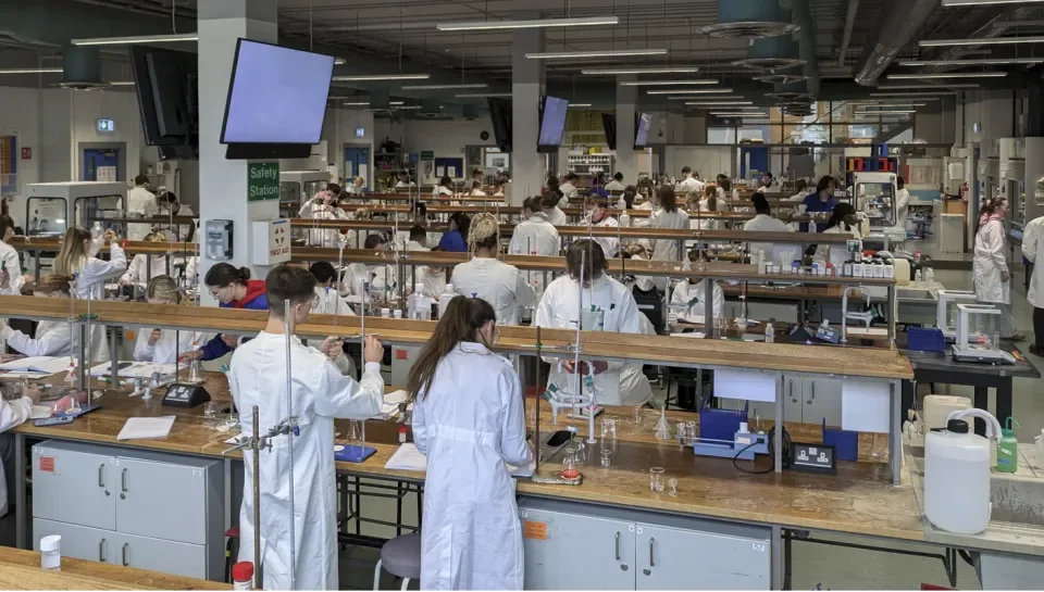 labs