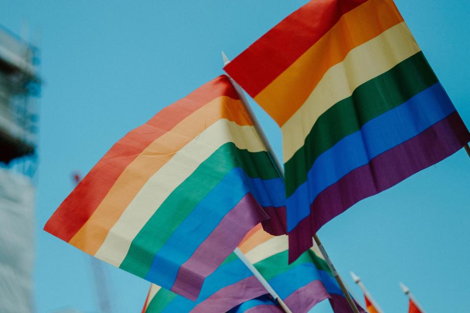 Two LGBTQ+ flags against a blue sky 