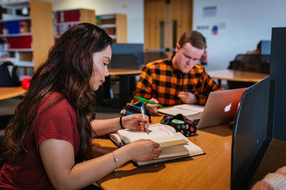 Shows two students studying in DCU library