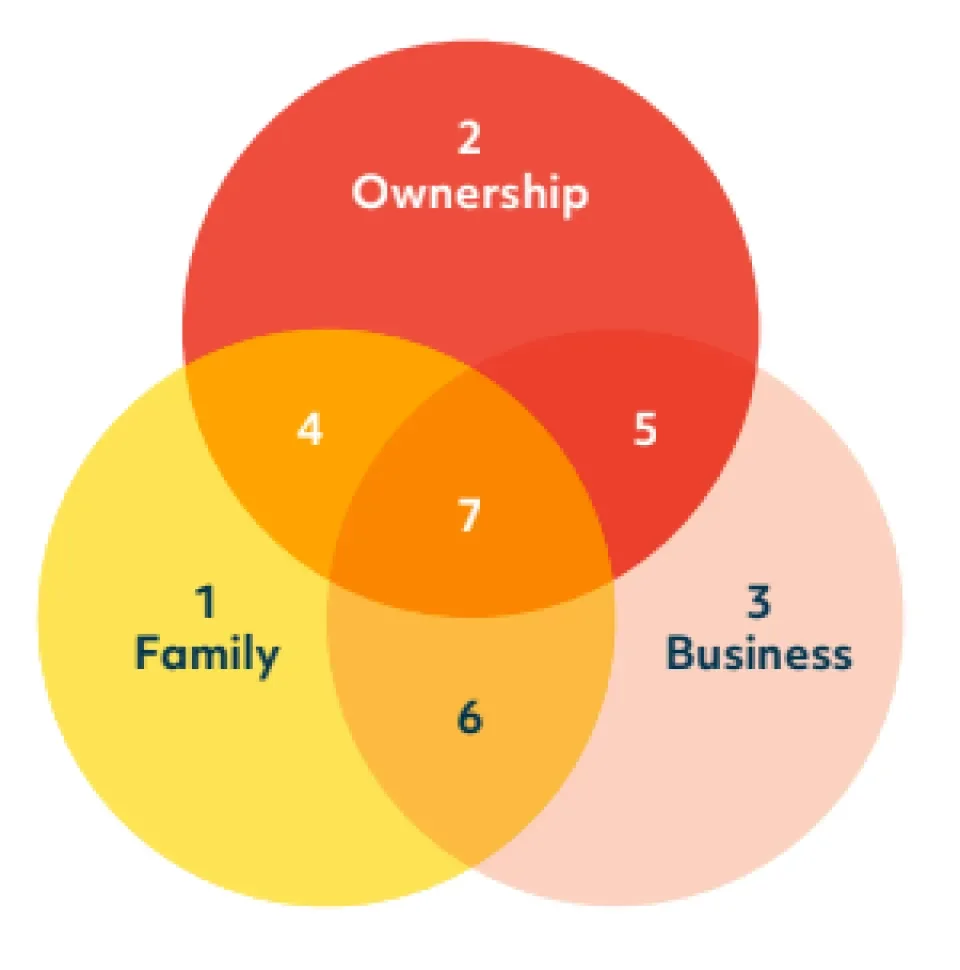 3 circle model