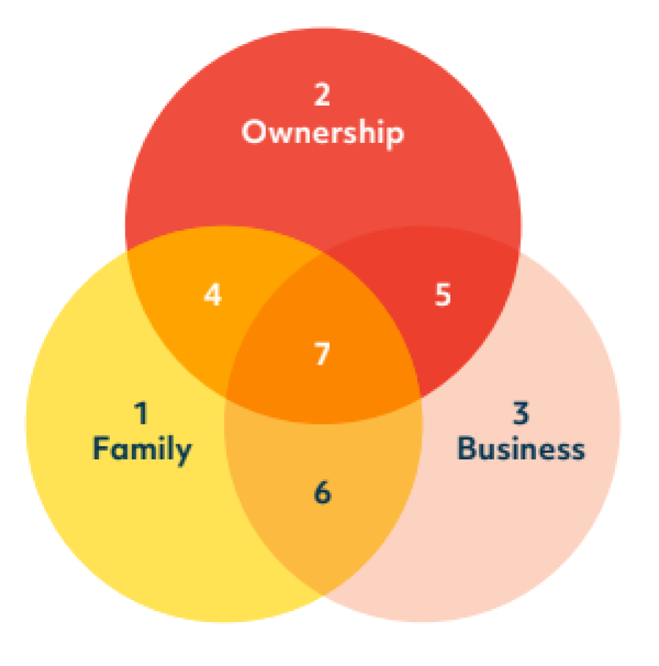 3 circle model