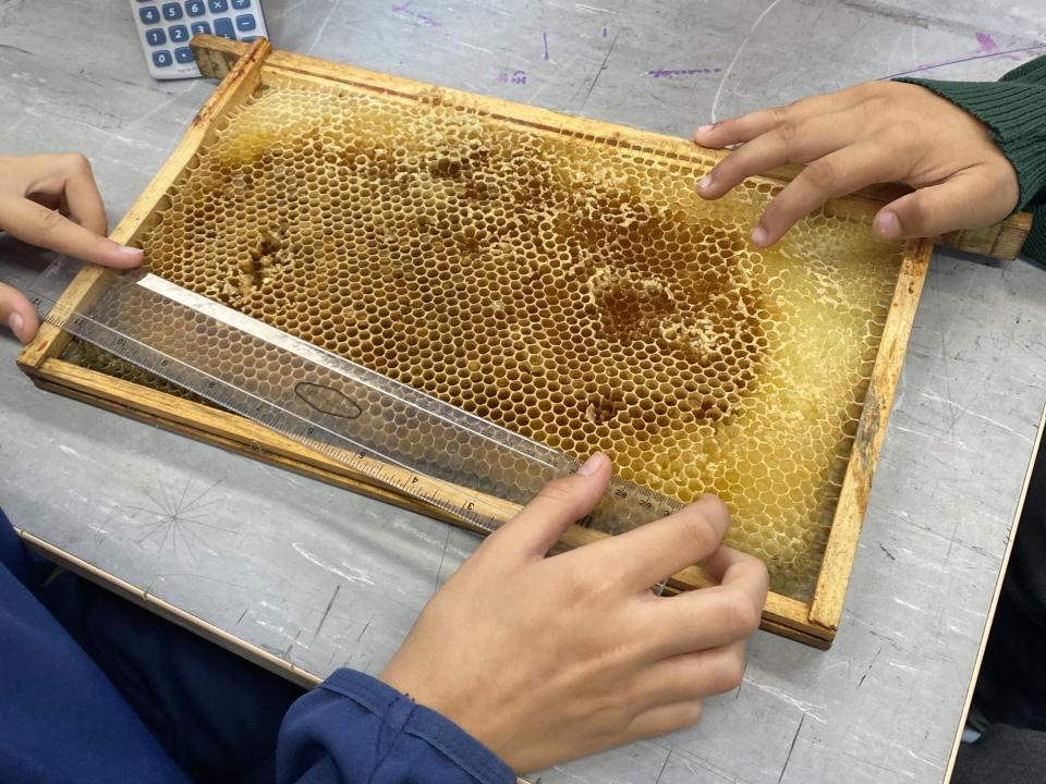 Honeycomb