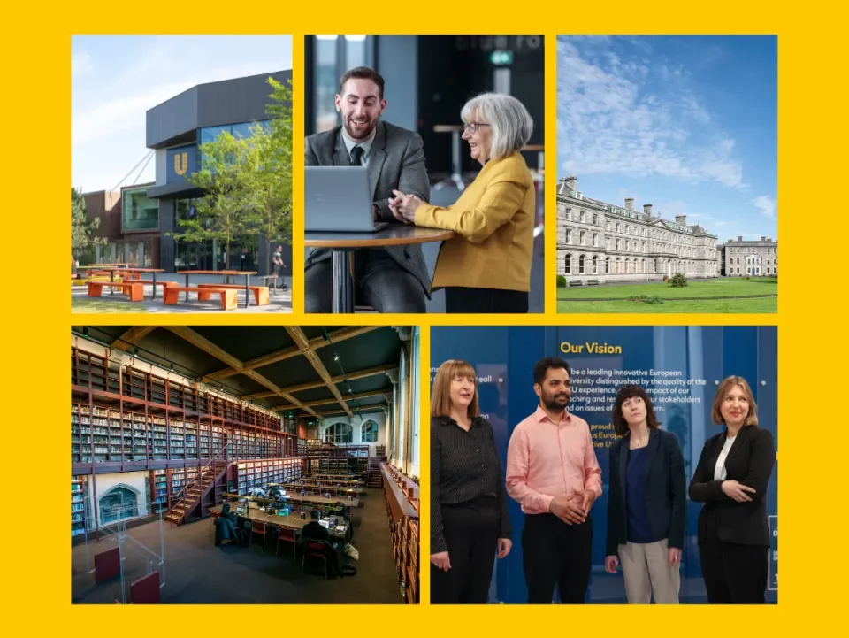 Montage of photos of DCU campuses and colleagues working.