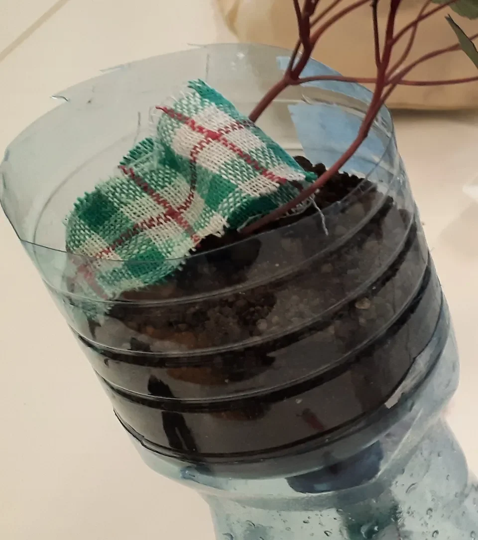 Self Watering Pot