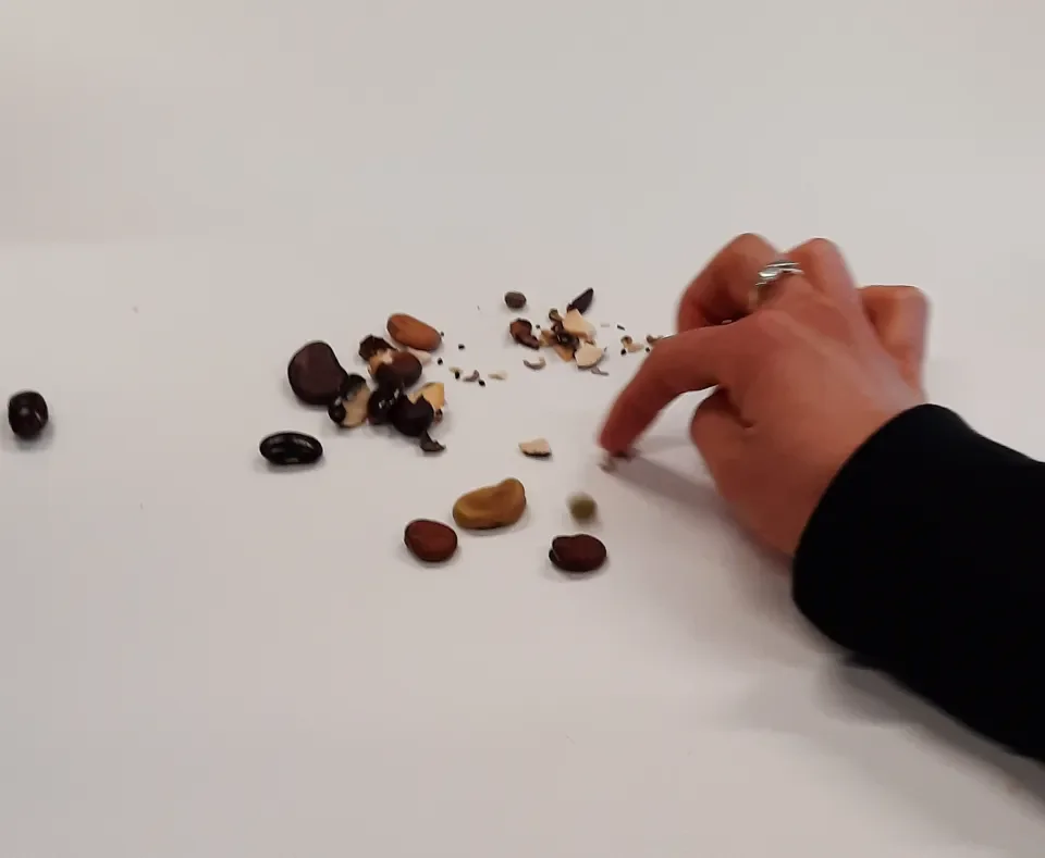 Sorting and classifying