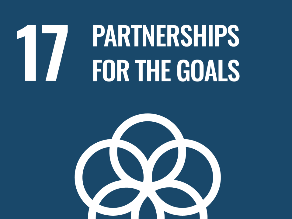 UN SDG 17 - Partnerships for the Goals