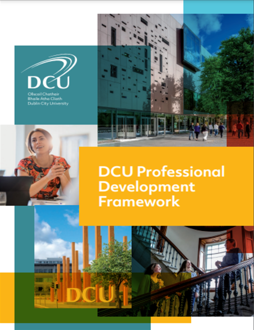 Professional Development Framework