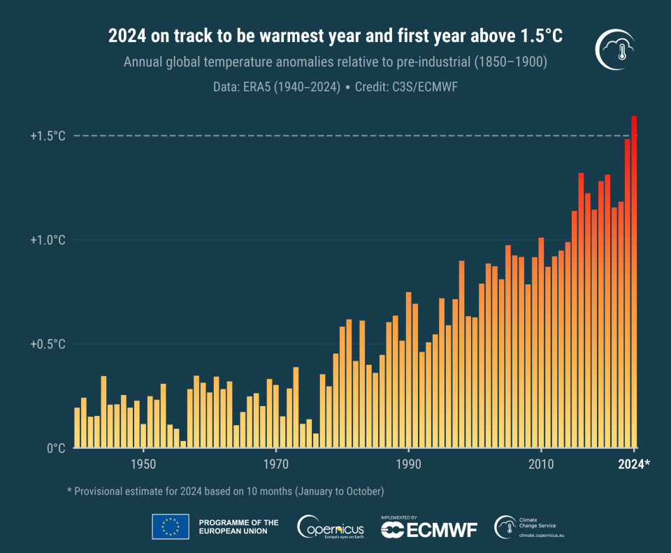 Timeseries annual global temperature anomalies