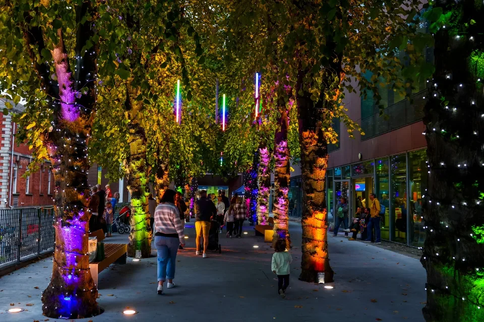 Tree lined walkway lit up with coloured lights