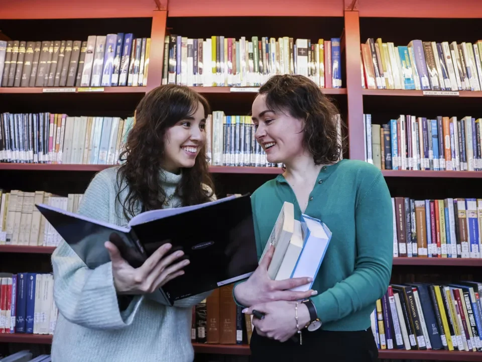 LLM in Public Law