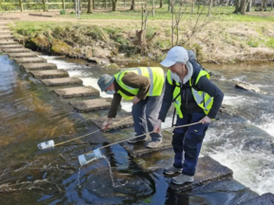 Centennial Citizen Science project continues its success in Mountrath, Co. Laois