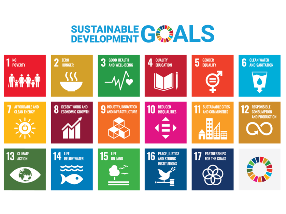 Sustainable Development Goals