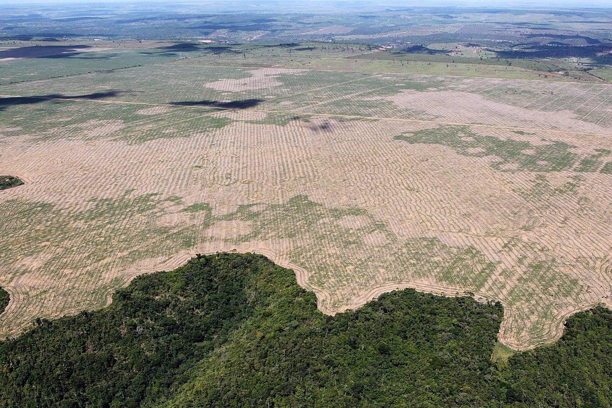 Deforestation in Brazil's Maranhão state in 2016. Latest report on EU-Mercosur renews fears of impact on Amazon rain forest.