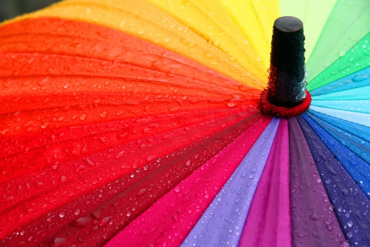 Intersex Umbrella
