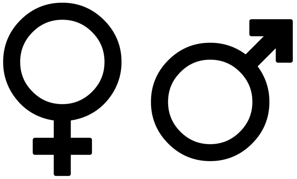Sexuality Studies Public Webinars