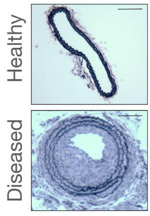 Data from the recently published article