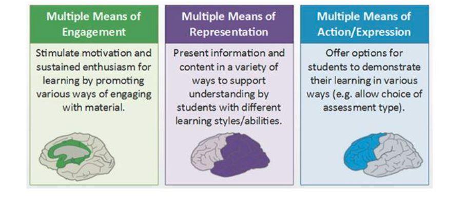 UDL guidelines on multiple ways to learn, teach and assess