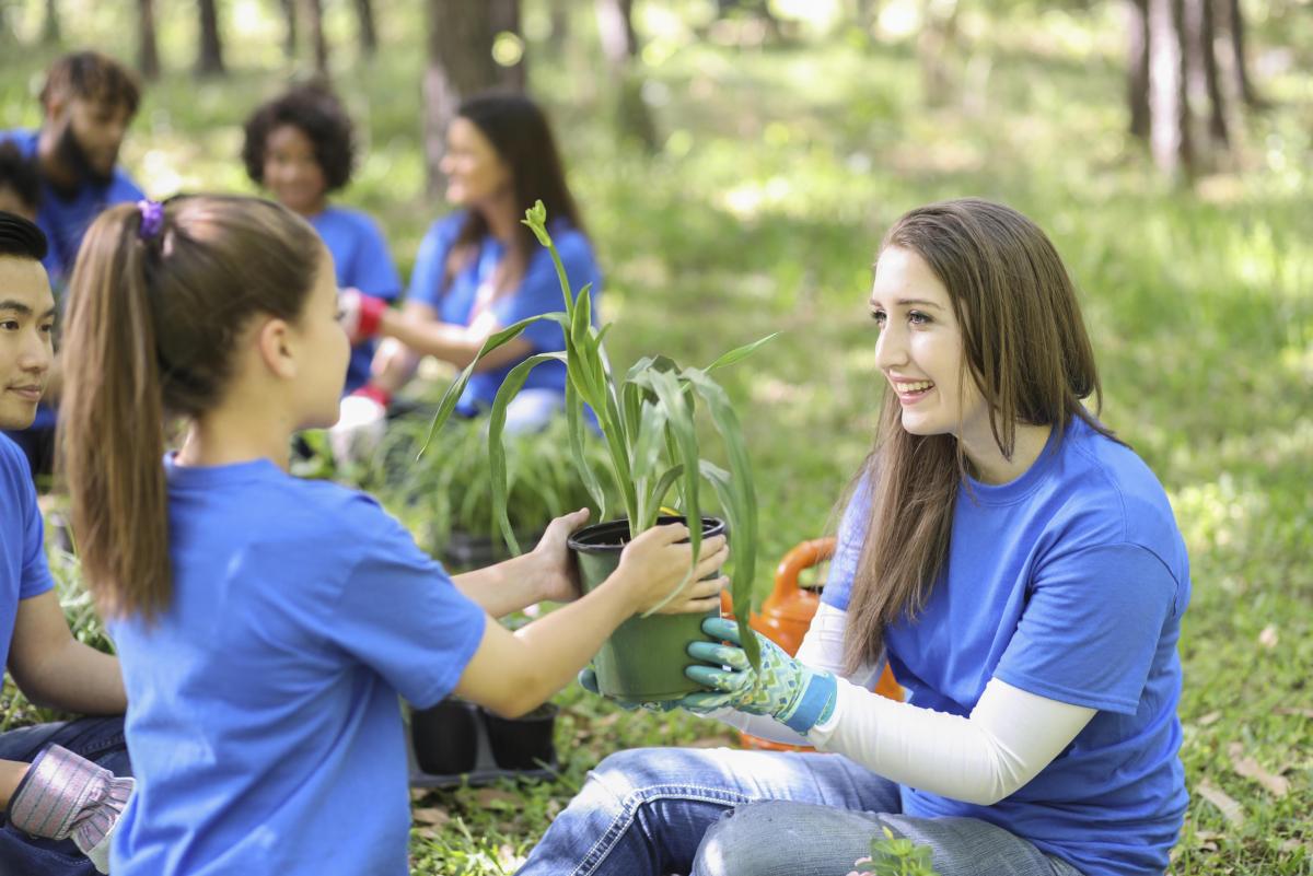 New seasonal food-growing pilot in schools launched by DCU researchers