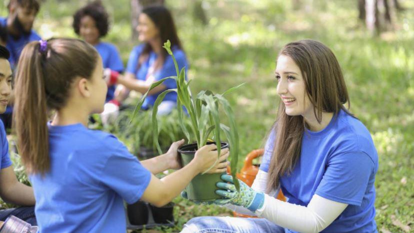 Seasonal Food Growing Project in Dublin Schools by Dr Dervila Cooke