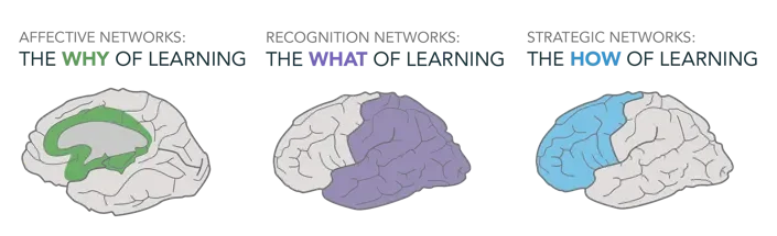 UDL framework overview infographic. Overview of three core principles in text format, repeated in text box below.
