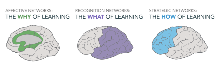 UDL framework overview infographic. Overview of three core principles in text format, repeated in text box below.  