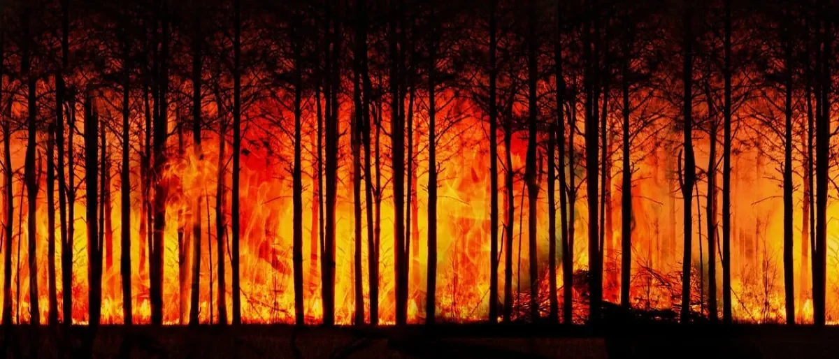 Climate Change Media Masterclass series