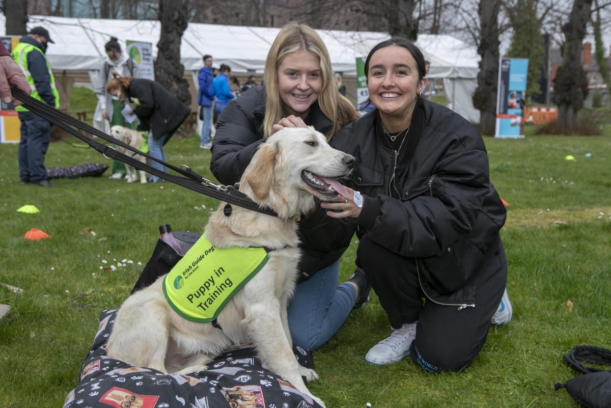 PAWS brings dogs Irish Guide Dogs for the Blind to campus to help with exam stress