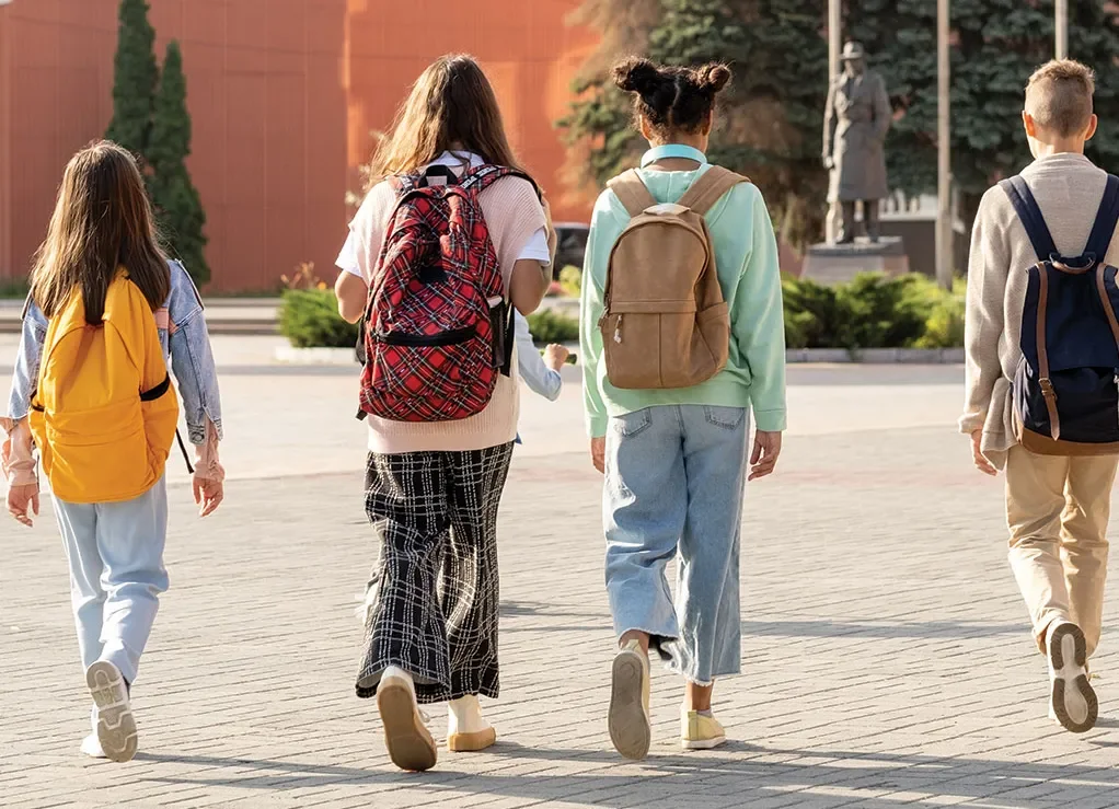  An examination of the role of Social Dominance Orientation in online bullying behaviour