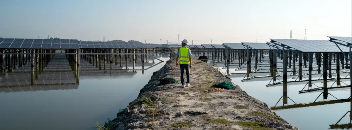Shows man walking among field of solar panels