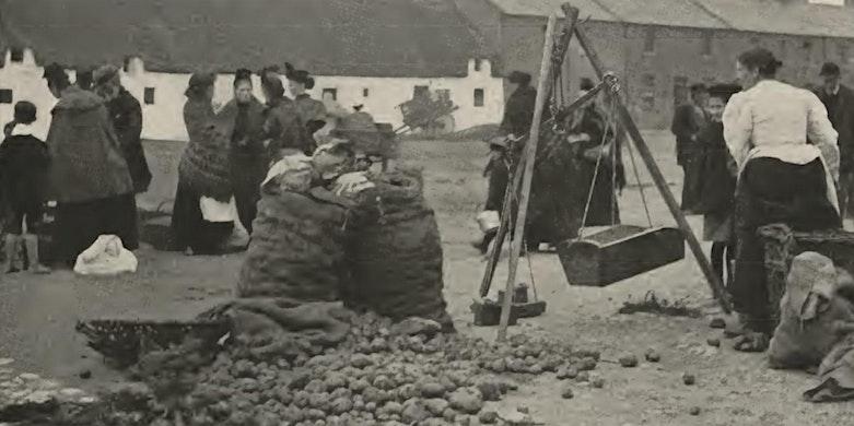 A one-day symposium at DCU exploring the history of the food supply journey from catastrophic famine in the mid-nineteenth century to today