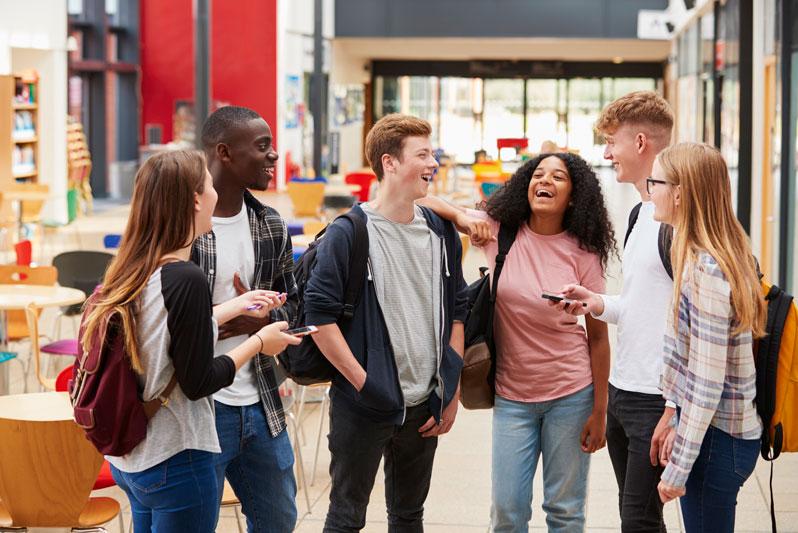 A milestone for the FUSE anti-bullying programme was research this month - it is now active in 100% of Irish post-primary schools