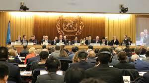 IMO Negotiations