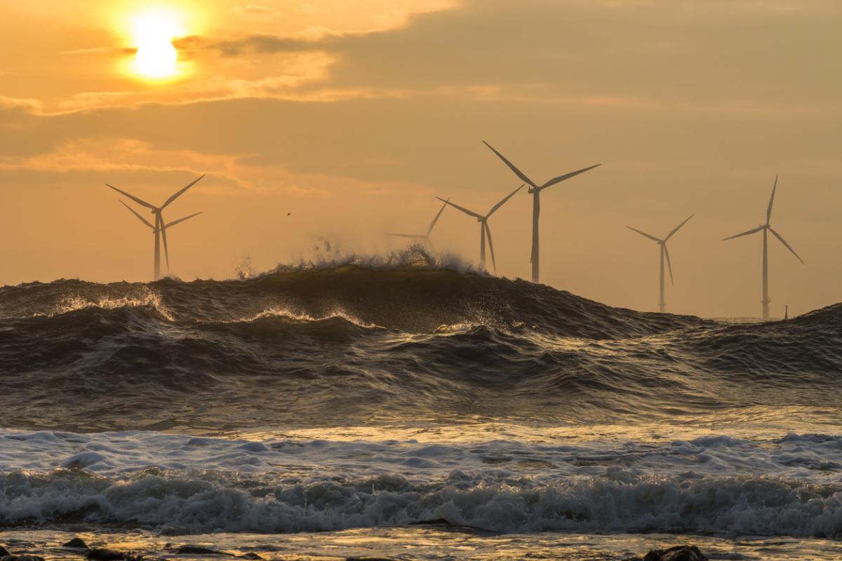 Environmental Legislation, Standards and Risk
