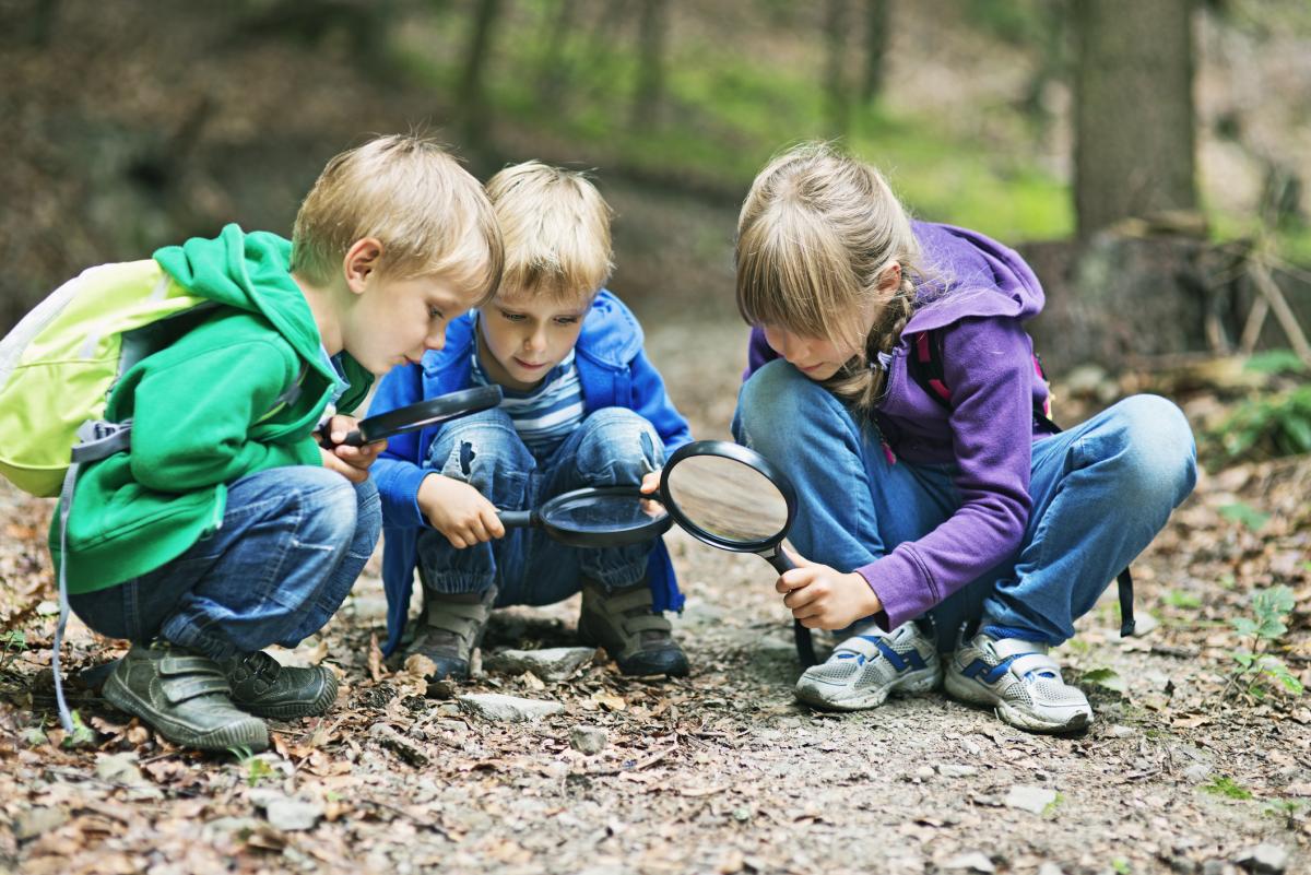 Aistear Early Childhood Education Literature Review