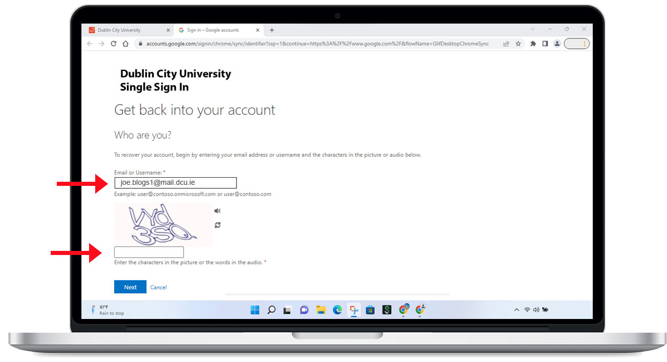 Password Reset Step 2 - Enter your DCU email address and then the characters in the picture.