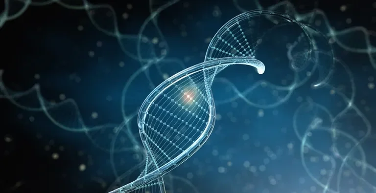 DCU scientists commence work with US and UK partners to create new gene therapeutics